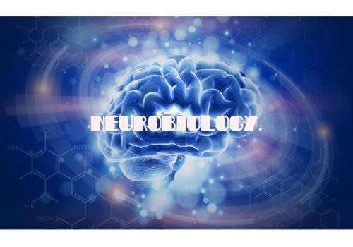 Lezing: "Naar een wereld zonder Parkinson". © davidsfondsevenementen