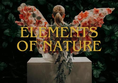 Elemental & Elements of Nature (SHOW 5) © Dance & Fun VZW Elemental & Elements of Nature (SHOW 5) © Dance & Fun VZW