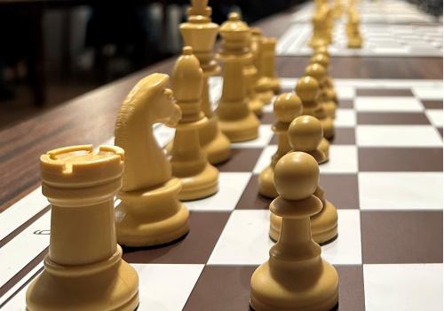 Vrije schaakavond © David Frans