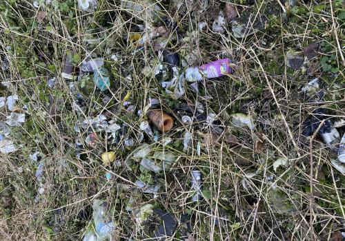 Opruimen afval Vuilvoort © Dirk Wouters