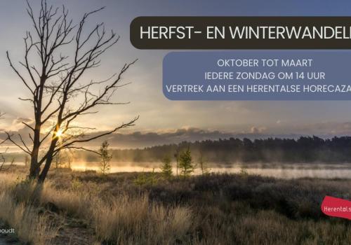 Herfst- en winterwandeling: The Old Farm © Michiel Vanhoudt
