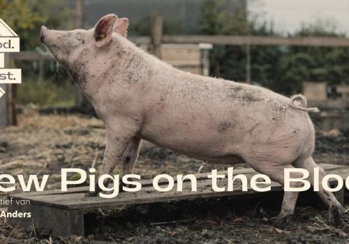 Filmvoorstelling New Pigs on the block © Food Film Fest