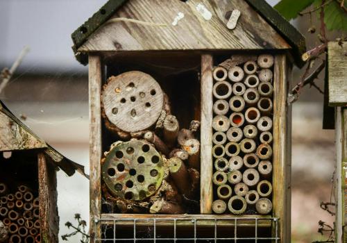 Kinder-&(groot)ouder workshop: Maak je eigen insectenhotel © Ferm Ladies Noorderwijk
