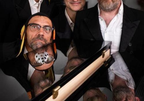 Lodewijk de koningspinguïn © Peter Claeys