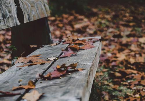 Rouwzorgtraject. Je partner is overleden. Hoe ga je verder met dit verlies? © pexels