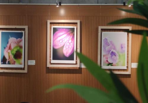 Foyer cc 't Schaliken