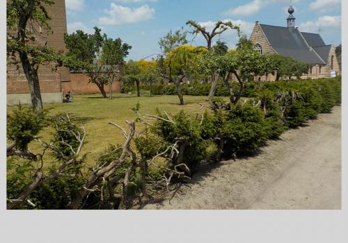 Evenementlocatie - Begijnhof