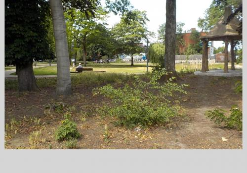 Evenementlocatie - Stadspark