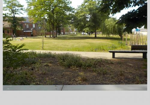 Evenementlocatie - Stadspark