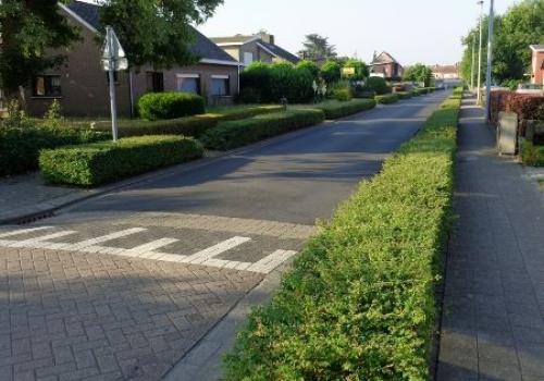 Groenonderhoud