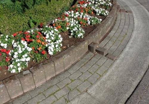 Groenonderhoud