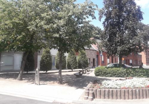 Groenonderhoud