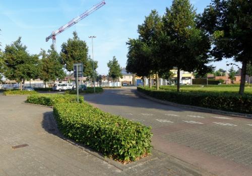 Groenonderhoud