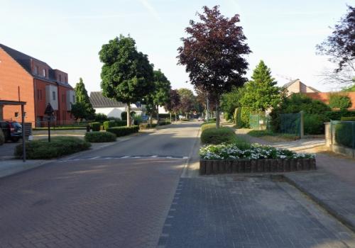 Groenonderhoud