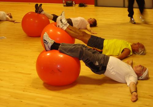 Fit Plus 55+