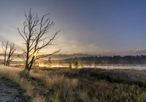 Winterwandelingen