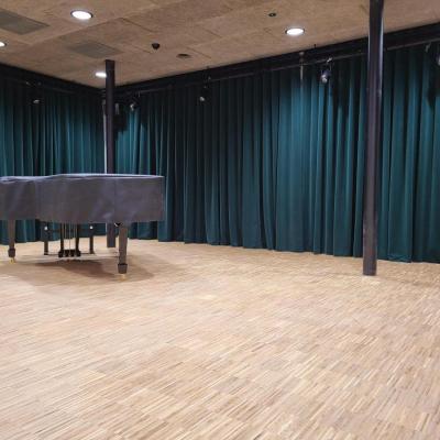 Auditiezaal2