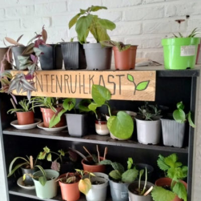Plantenruilkast