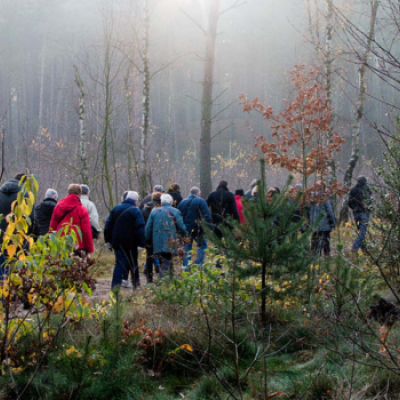 Herfst- en winterwandelingen