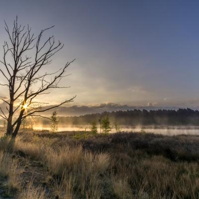 Winterwandelingen